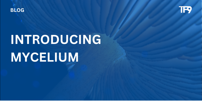 Introducing Mycelium Picture